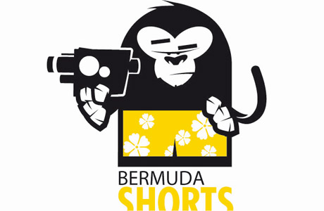 Bermuda Shorts