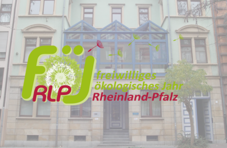 FÖJ-Stelle (m/w/d) ab August 2026 zu besetzen